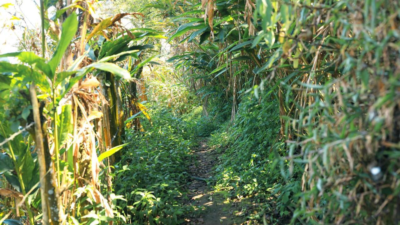 Shola Crown Resort - Munnar Chinnakanal Buitenkant foto